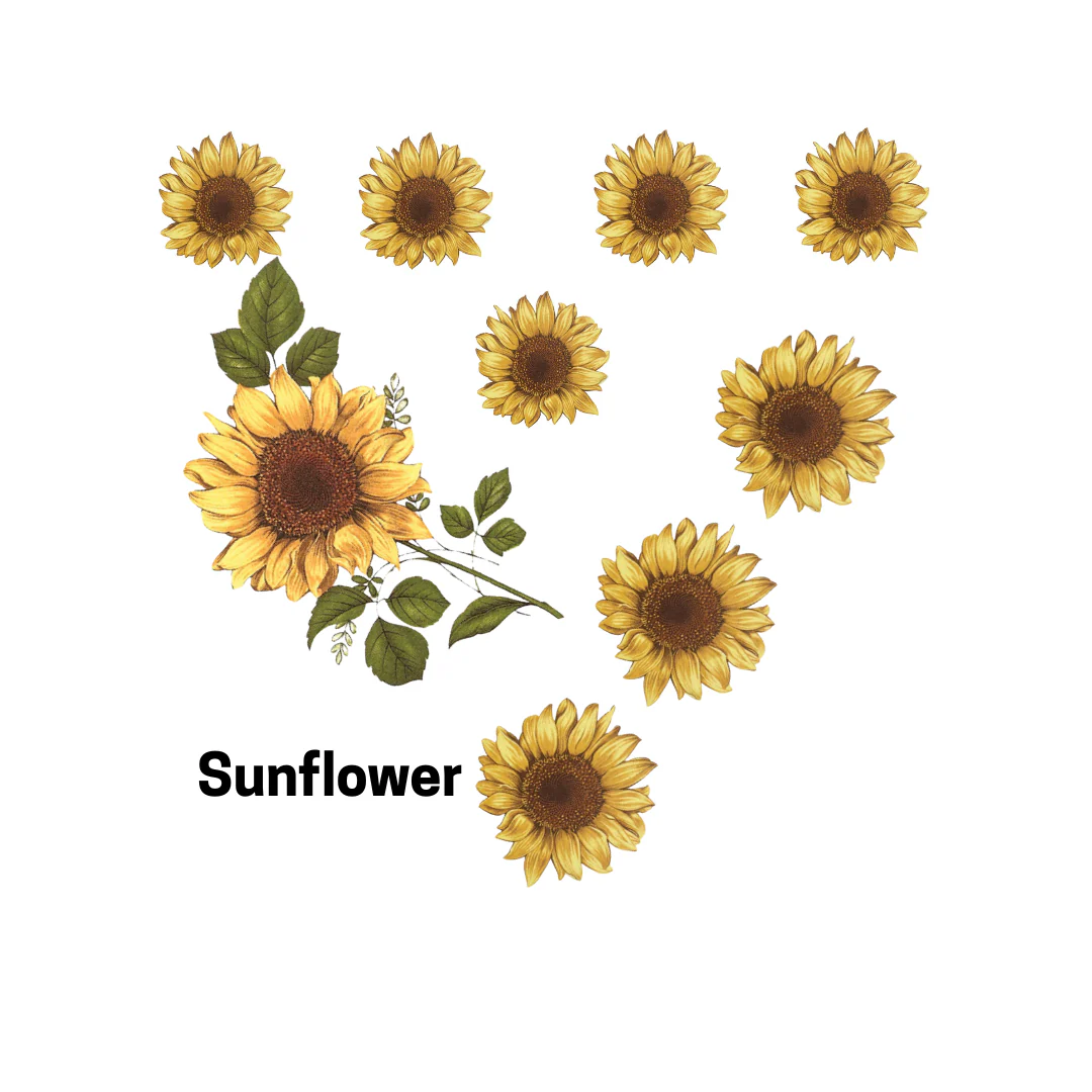 Sunflower Big Honeycomb Single Stack - Image 3